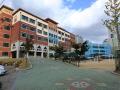 도봉초등학교 건물 및 운동장 썸네일 이미지