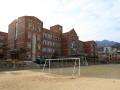 오태초등학교 건물 및 운동장 썸네일 이미지