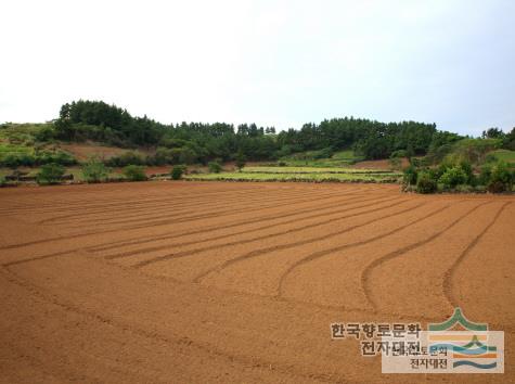 대표시청각 이미지