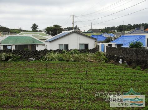 대표시청각 이미지