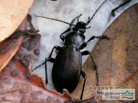 대표시청각 이미지