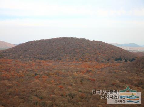 대표시청각 이미지