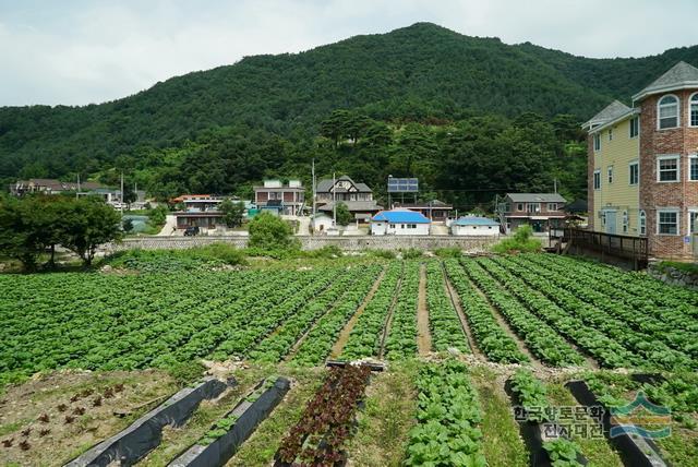 대표시청각 이미지