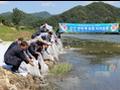 부남 강변 축제[부남 면민의 날] 썸네일 이미지